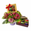 Chocolate Gift Box Kuala Lumpur Malaysia- Royce Confection Chocolate Box Gifts with Flowers | Chocolate Gift Box Kuala Lumpur Malaysia- Royce Confection Chocolate Box Gifts with Flowers