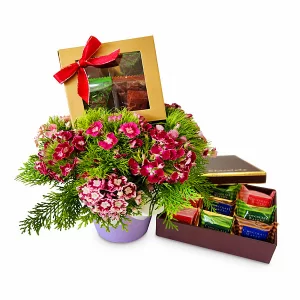 Chocolate Gift Box Kuala Lumpur Malaysia- Royce Confection Chocolate Box Gifts with Flowers