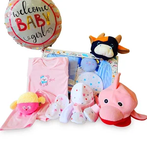 Baby Gifts Set - WELCOME BABY Newborn Baby Hamper Gifts