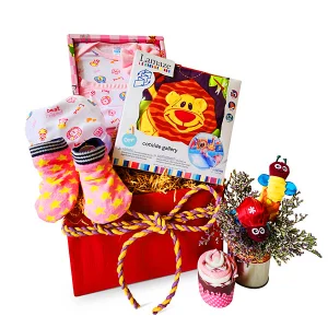 Baby Hamper Malaysia - LAMAZE BABY Newborn Baby Gifts