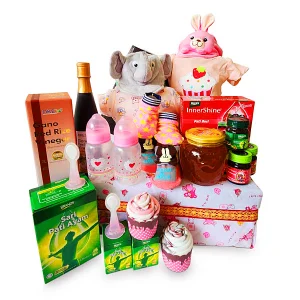 Baby Hamper Malaysia - TWIN TREASURES Newborn Twins Baby Gifts