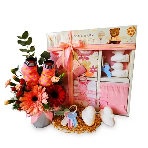 Baby Hamper Malaysia - WELCOME BABYSET Newborn Baby Gifts