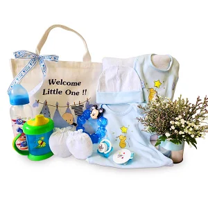 Baby Hamper Malaysia - WELCOME LITTLE ONE Newborn Baby Gifts